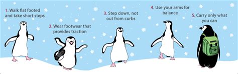 Why walking like a penguin is safer on ice - AOL News