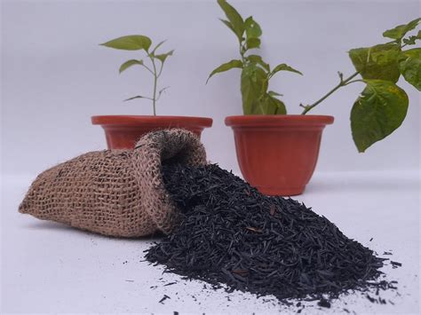 Rice Husk Ash Organic Hydroponic Compost Growing Media 100 Burned