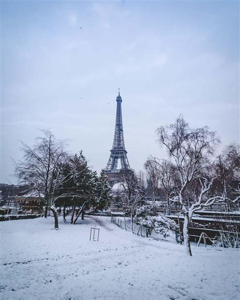 paris  winter  reasons    visit paris  winter