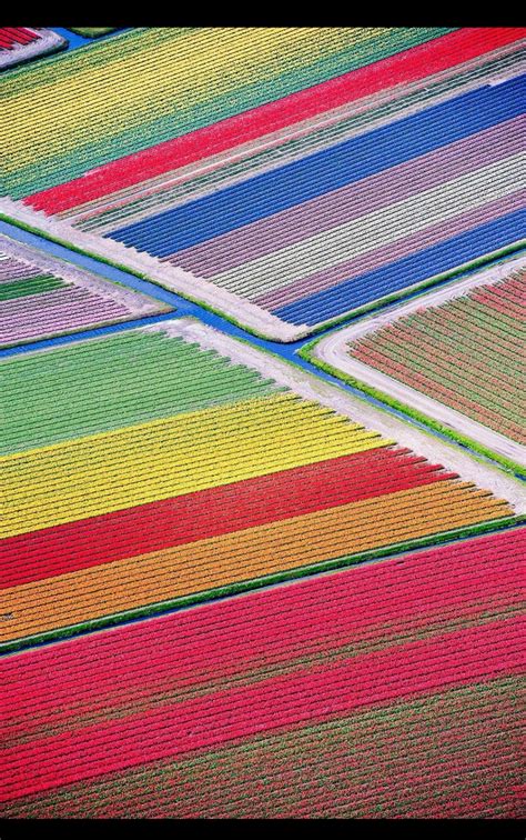 This isn't a wallpaper, it's Tulip fields in the Netherlands : r/BeAmazed