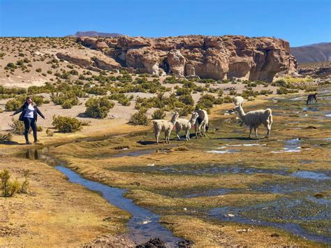 A tour through the Bolivia Salt Flats - One of the most beautiful ...