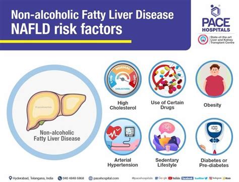 Risk Factors For Liver Disease Ask The Nurse Expert