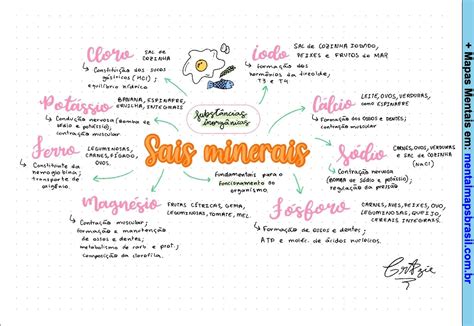 Sais Minerais Mapas Mentais Bioquímica Mental Maps Brasil