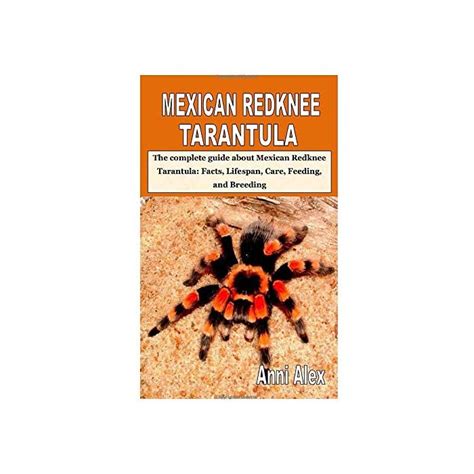 Buy MEXICAN REDKNEE TARANTULA: The complete guide about Mexican Redknee Tarantula: Facts ...