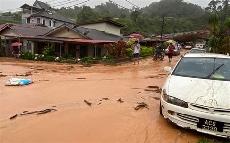 Malaysians Must Know the TRUTH: Tragic landslide sees Cameron Highlands residents endure ...