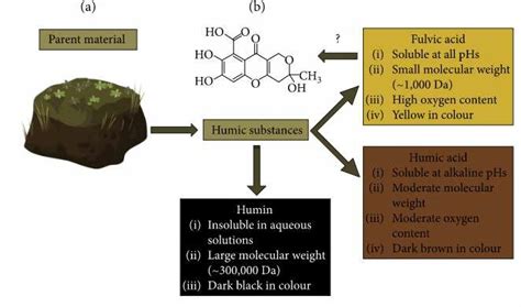 The Characterization And Classification Of Humic Substances A Humic