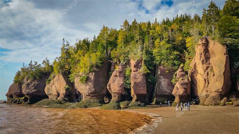 Hopewell Rocks Park En Canadá Ubicado A Orillas De La Bahía De Fundy