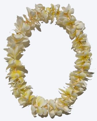 Single Plumeria Lei - set of 4 leis - Aloha Hawaiian Flowers