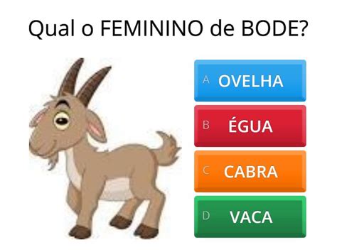 Substantivo Feminino De Bode - SUBSTANTIVO MASCULINO E FEMININO - Quiz