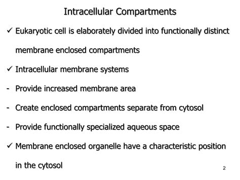 3 2 Intracellular Compartments Protein Sorting Pptx