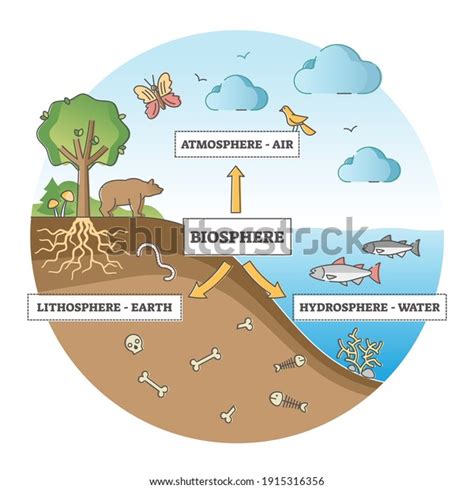 Biosphere Division Labeled Ecosystem Explanation Scheme Vetor Stock