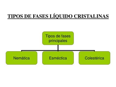 PPT CRISTALES LÍQUIDOS PowerPoint Presentation ID 4900754