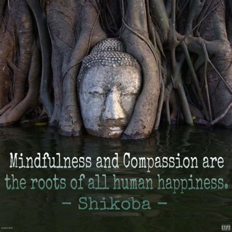 Shikoba Spirituality Thich Nhat Hanh Quote Collectiveॐ