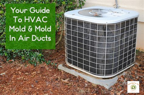 How To Kill Mold In Air Conditioner Your Guide To Hvac Mold Mold In