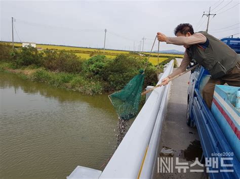 충남도 수산자원연구소 내수면 19곳에 토산어종 60만 마리 방류 뉴스밴드 가치를 만드는 뉴스