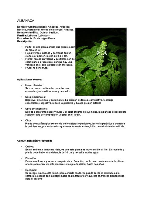 Libro Fichas Plantas Aromaticas By Jardines Ciencia Y Arte Issuu