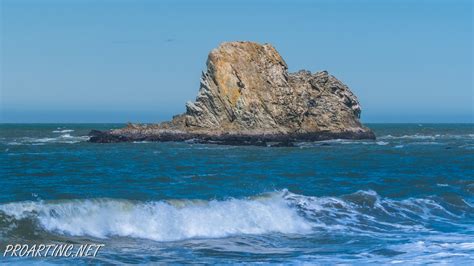 Sonoma Coast State Park 11 | ProArtInc