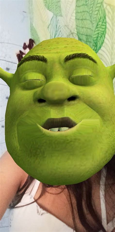 Shrek Kiss 💋 Shrek Animation Camera Shrek Memes