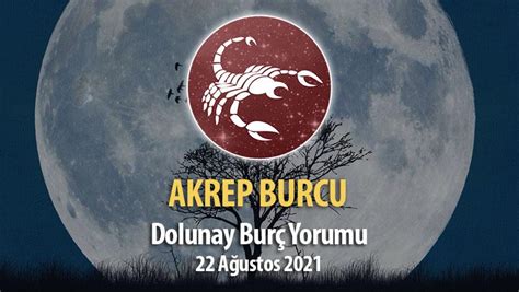 Akrep Burcu Dolunay Bur Yorumu A Ustos