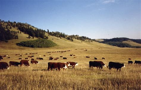 Alberta