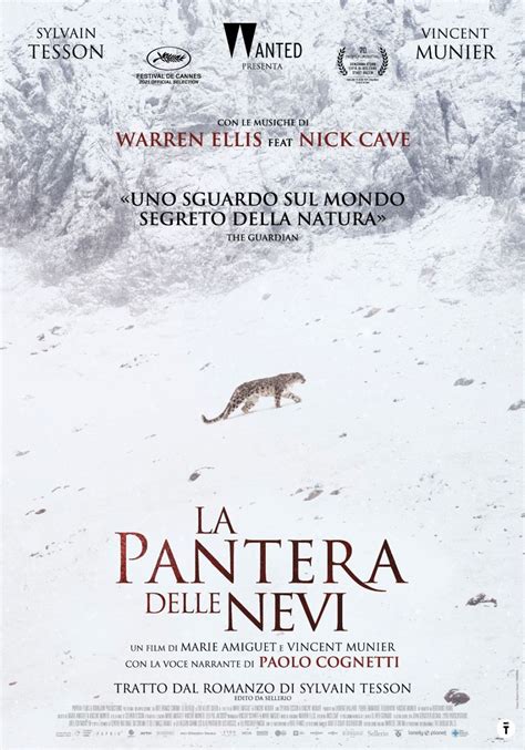 Da Oggi Al Cinema La Pantera Delle Nevi Il Docu Film Di Marie