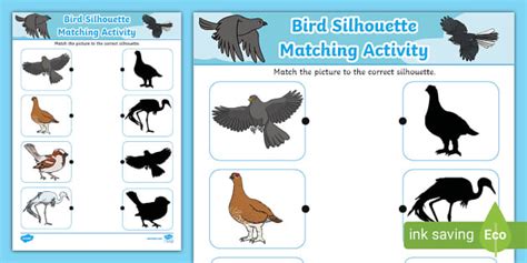 Bird Silhouette Matching Activity Hecho Por Educadores