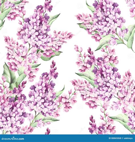 Seamless Pattern With Lilac Flowers Watercolor Illustration Stock