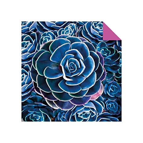 Origami Paper 500 Sheets Succulents 6 15 Cm Tuttle Origami Paper