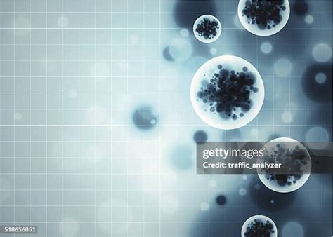 15,100 Ebola Virus Stock Photos, High-Res Pictures, and Images - Getty ...