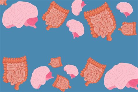 Innovative Science Tapping Into The Nutrition Connection Of The Gut