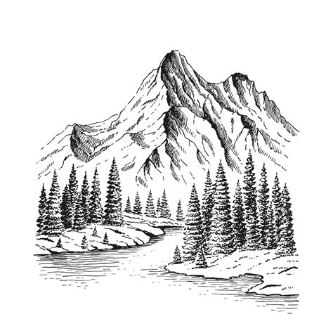 Hand Drawn Vector Nature Illustration With Mountains And Forest Nature