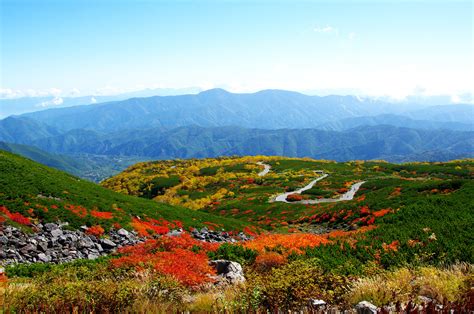 Autumn Leaf Viewing At Norikura Echo Line Destinations Alpico Group