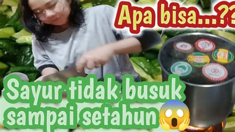 Cara Orang Taiwan Mengawetkan Timun Krai Pengawetan Sayur Secara Alami