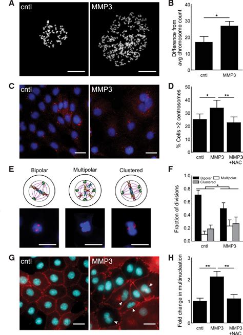 Figure From A Soft Microenvironment Protects From Failure Of Midbody