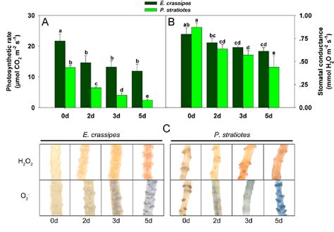 Figure 1 From Physiological And Proteomics Analyses Reveal The