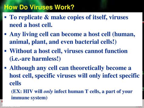 Bacteria And Viruses Ppt Download