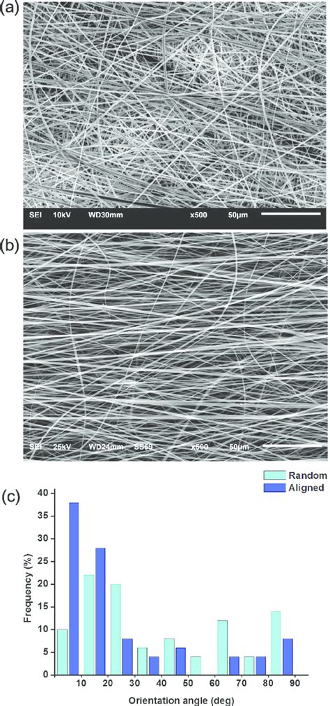 Surface Morphology Of The Membranes Electrospun Membranes Made Either