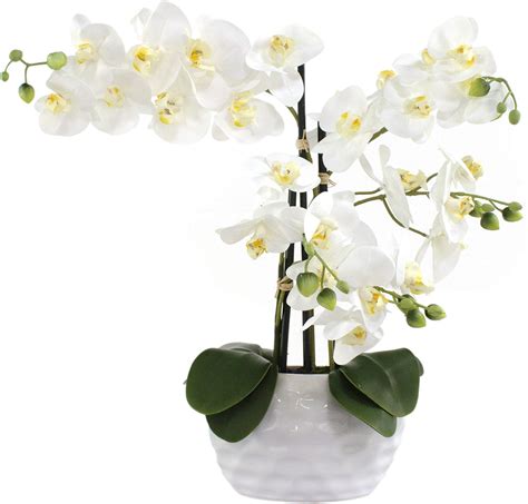 Amazon De Wohnfuehlidee Kunstpflanze Orchidee Phalenopsis Wei Mit