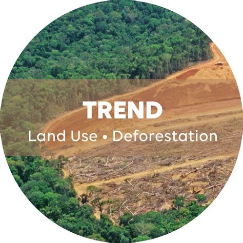 Land Use Rights Of Nature As A Bastion Against The Destruction Of