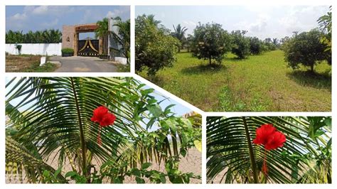 ID 726 45 Lakh Farmland For Sale In ChennaiECR Thirukkalikundram Coco