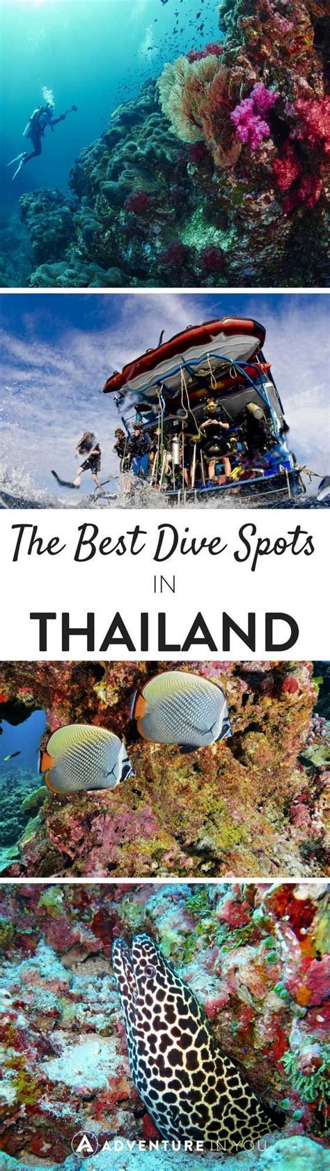 Best Scuba Diving In Thailand Dive Sites You Just Can T Miss Best