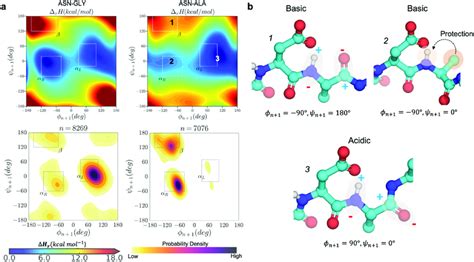 Conformational determinants of proton affinity in NG and NA dipeptides.... | Download Scientific ...