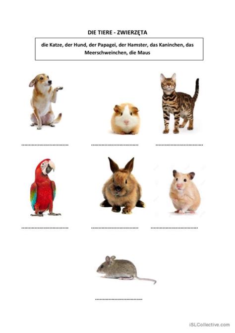 Tiere Deutsch Daf Arbeitsbl Tter Pdf Doc