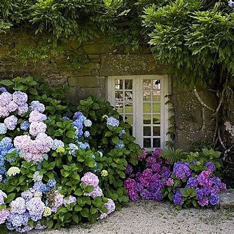 20 Dreamy Hydrangea Gardens That Are Giving Us Major Inspiration