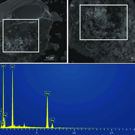 A Sem Eds Micrograph Of Fe O Magnetic Nanoparticles B Sem Eds