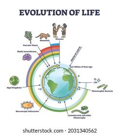 Evolution Life Timeline Scale Geologic Time Stockvector Rechtenvrij