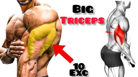 10 Best Triceps Workout At Gym To Get Big Tricep Triceps Excercises Youtube