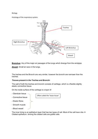 Biology PDF