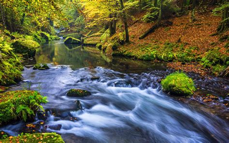 Beautiful Nature Forest River Wallpapers Hd High Definition 1920x1200 ...