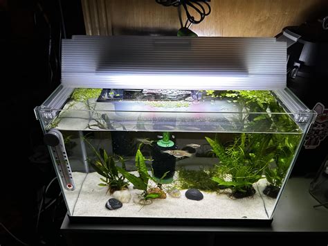 DIY aquarium lid : r/Aquariums